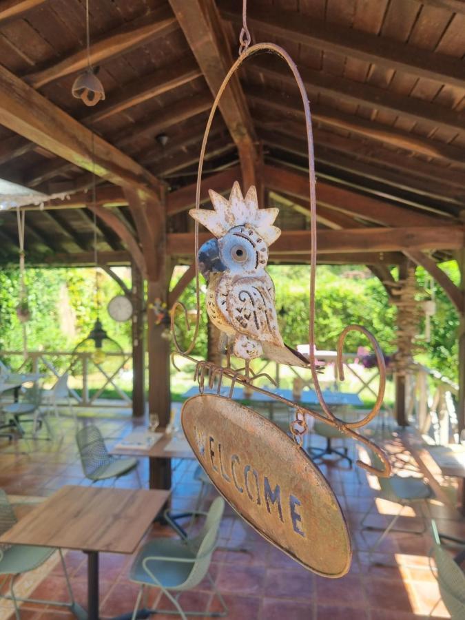 Hotel Restaurant Du Commerce Estang Luaran gambar